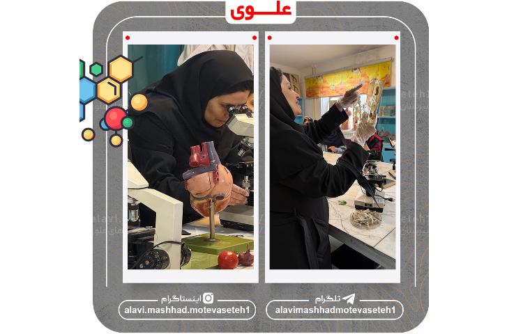 بازدید از پژوهش سرا و آزمایشگاه مرکزی ابوعلی سینا 8