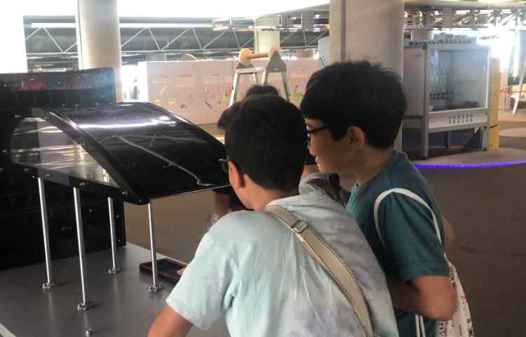 بازدید علمی در باغ کتاب و نوجوان 1