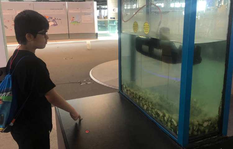 بازدید علمی در باغ کتاب و نوجوان 4