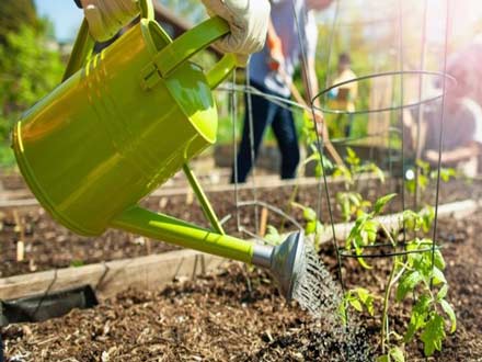 ایجاد 3400 نهالستان در مدارس؛ جلوه دیگری از اجرای سند تحول