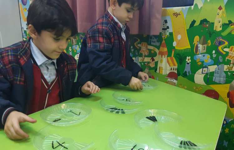 بازی با اعداد-زنگ Math 4