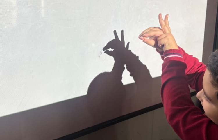 بازی با سایه و مرور اعداد 2