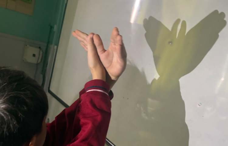 بازی با سایه و مرور اعداد 7