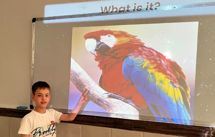 بازی با کلمات و مرور صداها 5