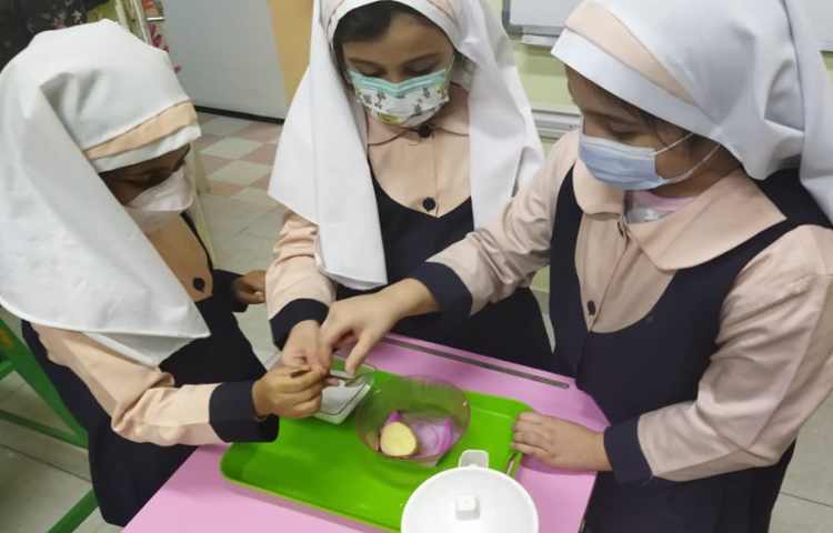 بازی با یخ 14