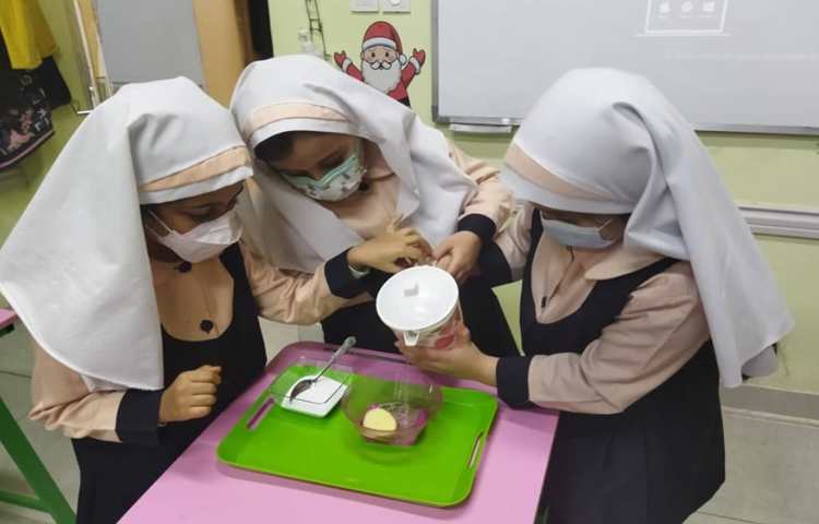 بازی با یخ 15