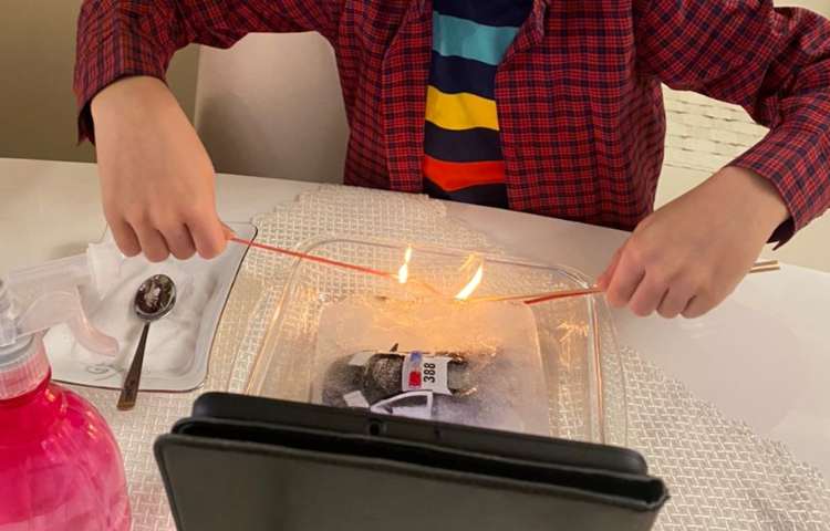 بازی با یخ 6