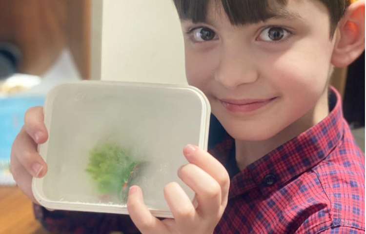 بازی با یخ 9