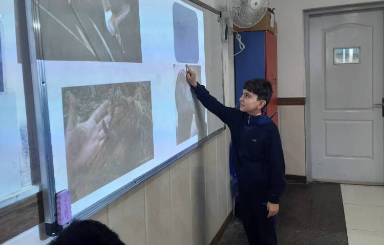 بازی حدس کلمات و تمرین Speaking 2