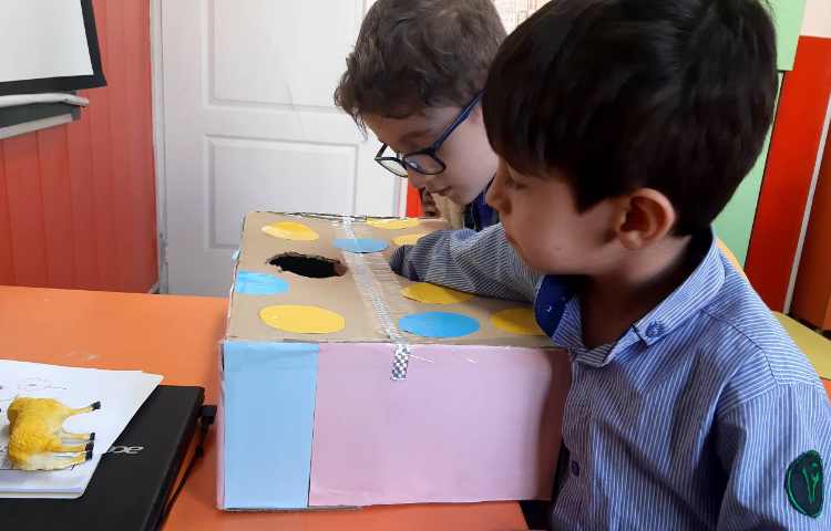 بازی حدس کلمات 3