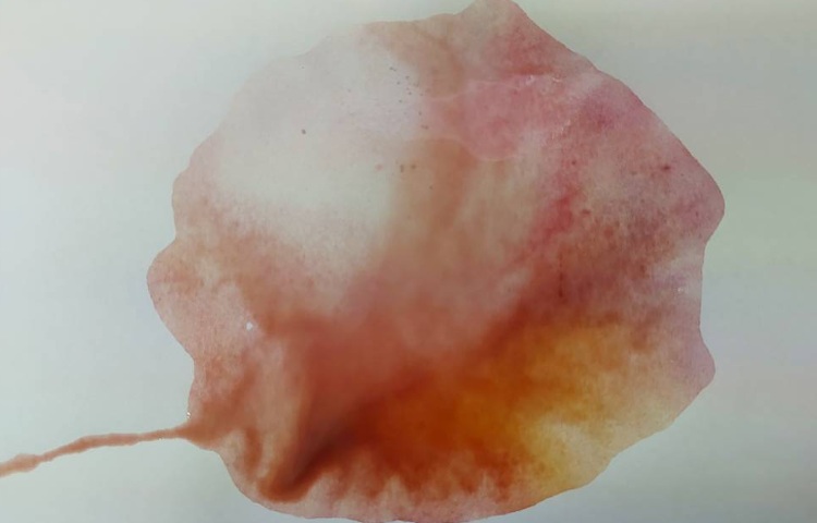 :بازی رنگ‌ها، کلاس فضانوردان 1