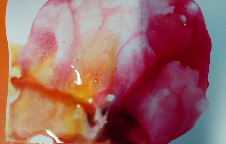 :بازی رنگ‌ها، کلاس فضانوردان 3