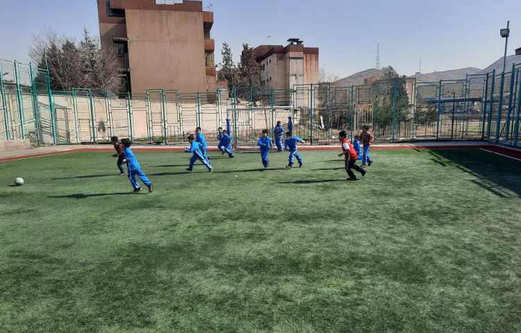 :بازی فوتبال در زمین چمن 2