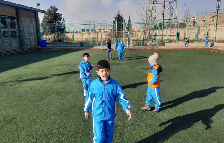 :بازی فوتبال در زمین چمن 8