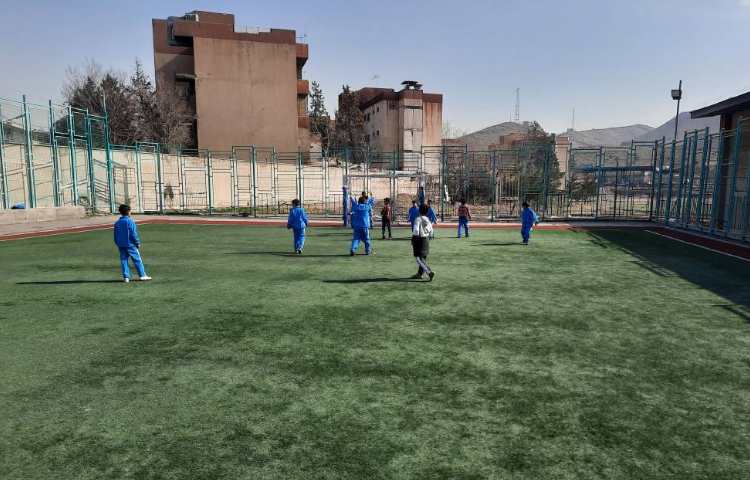 :بازی فوتبال در زمین چمن