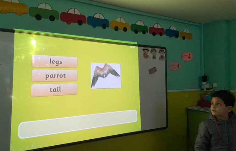 بازی مربوط به حیوانات 1