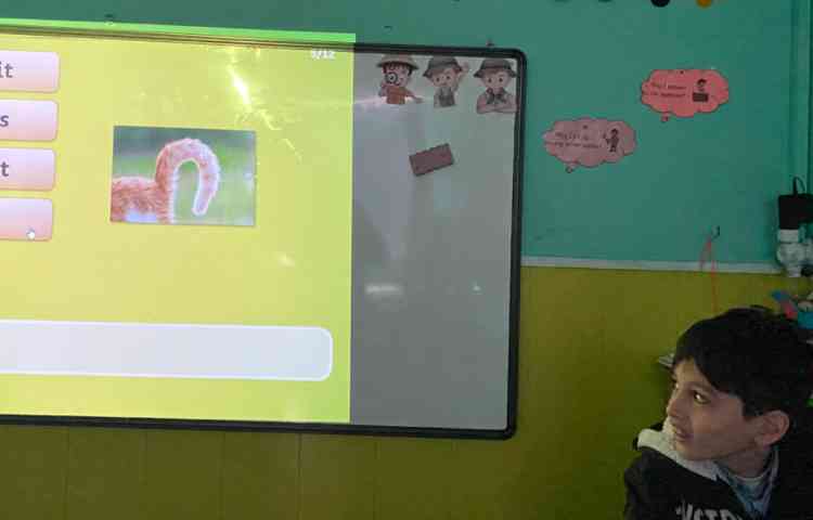 بازی مربوط به حیوانات 3