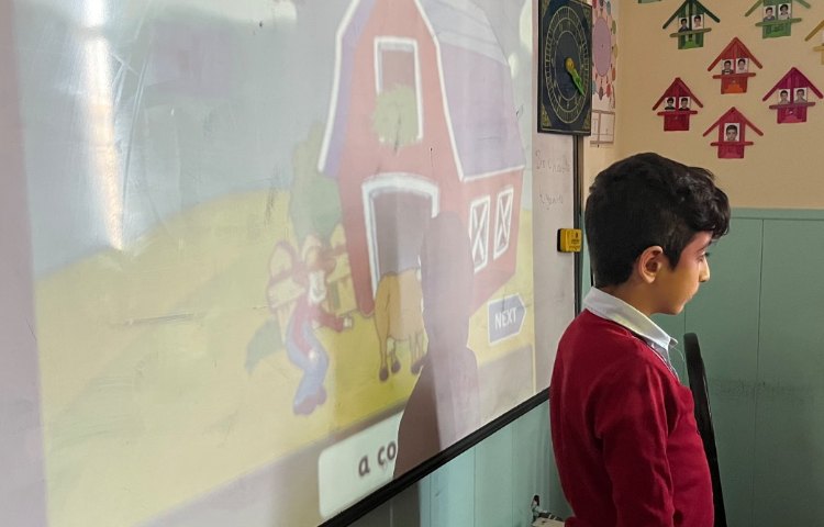 بازی مربوط به حیوانات