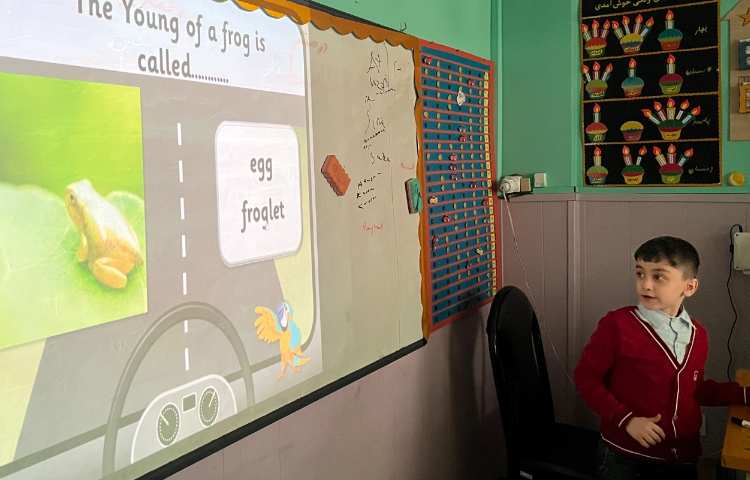 بازی مربوط به درس animals baby 2