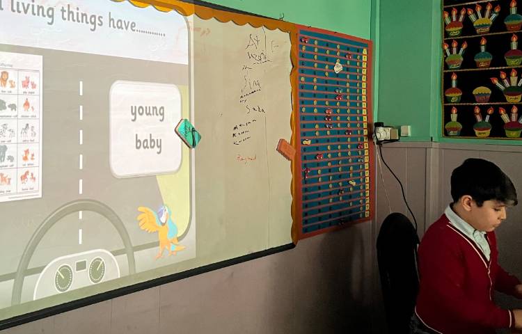 بازی مربوط به درس animals baby 3