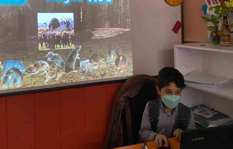 بازی مربوط به it's و they're 4