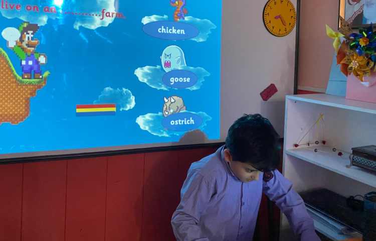 بازی مربوط به ostrich 7