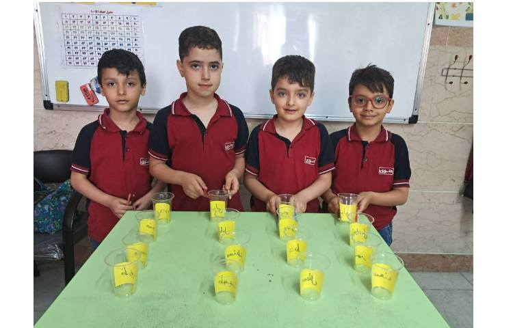 بازی های روخوانی و تمرکز و تقویت حافظه 1