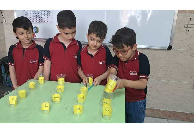 بازی های روخوانی و تمرکز و تقویت حافظه 2