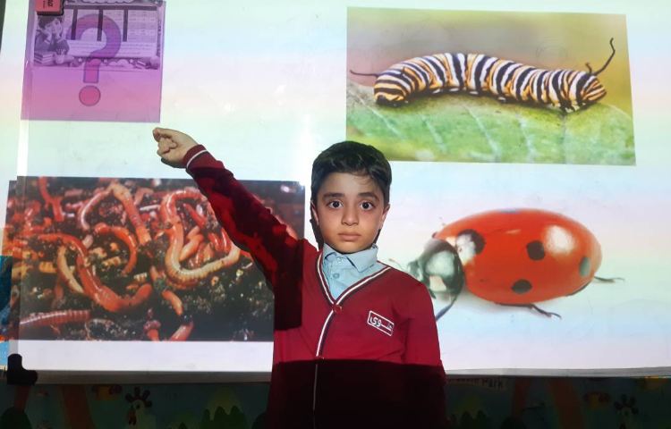 بازی‌های متنوع جهت تمرین لغات مربوط به Insects 2
