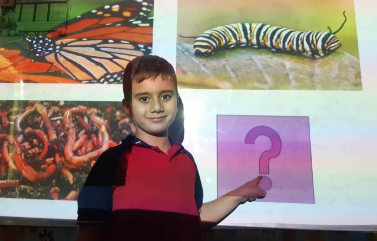 بازی‌های متنوع جهت تمرین لغات مربوط به Insects 3