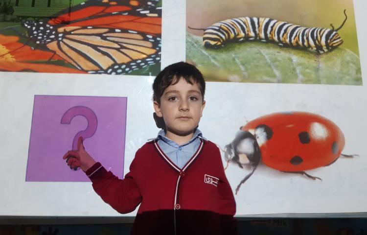 بازی‌های متنوع جهت تمرین لغات مربوط به Insects