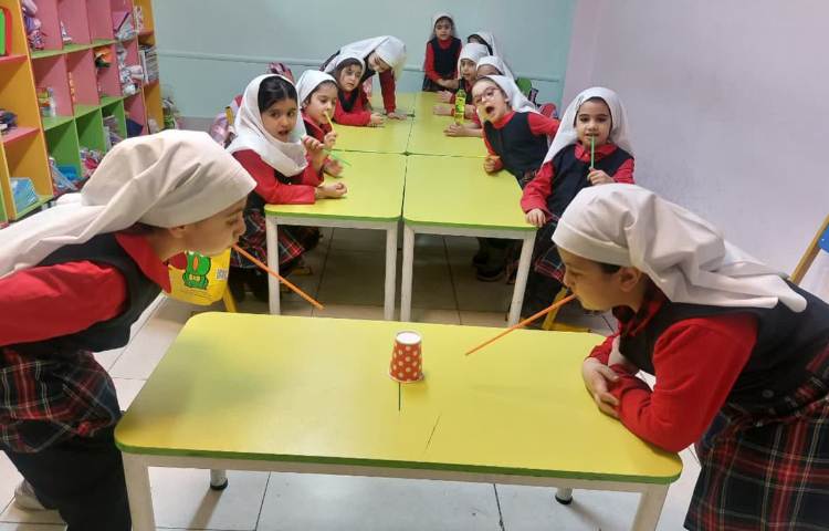 بازی هدفمند 1