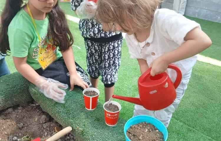 باغبان کوچک 6