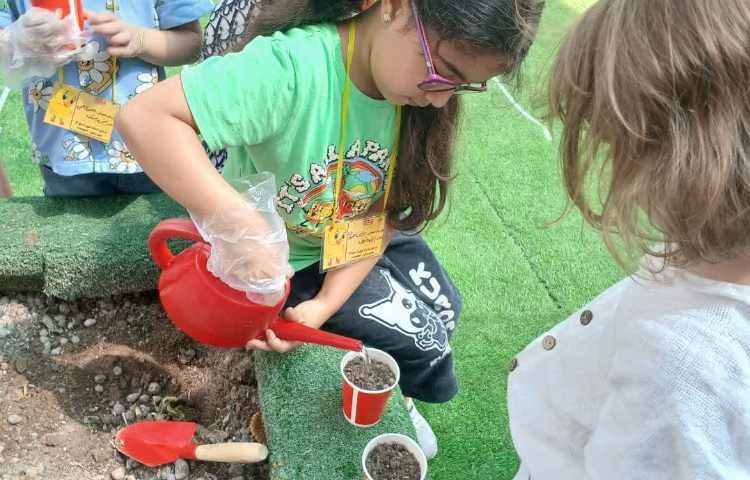 باغبان کوچک 7