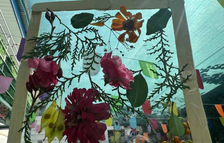 با طبیعت:آشنایی با گیاهان 1