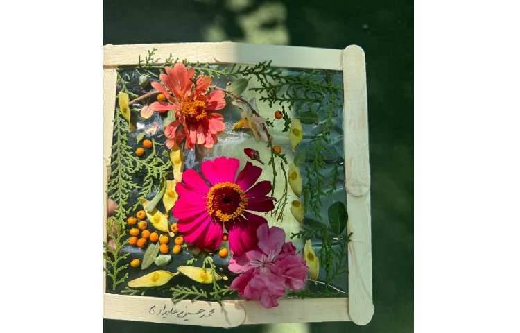 با طبیعت:آشنایی با گیاهان 2