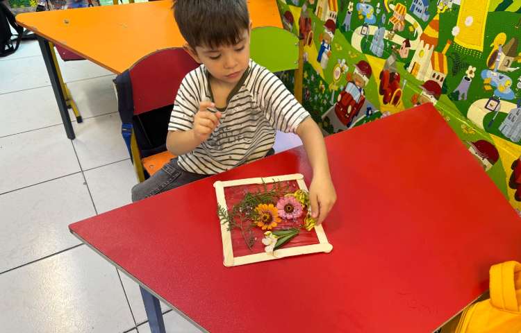 با طبیعت:آشنایی با گیاهان 4