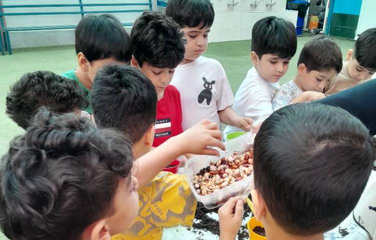 با طبیعت :کاشت دانه 1