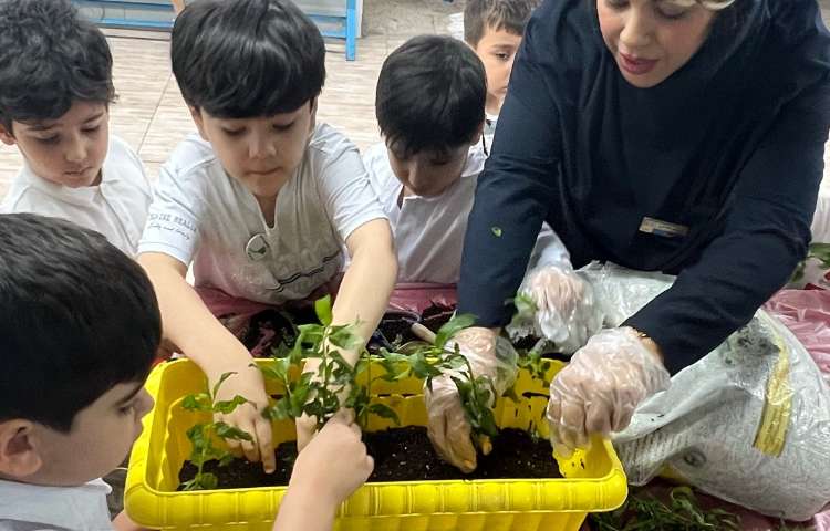 با طبیعت کاشت سبزی 3