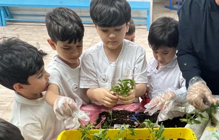 با طبیعت کاشت سبزی 5