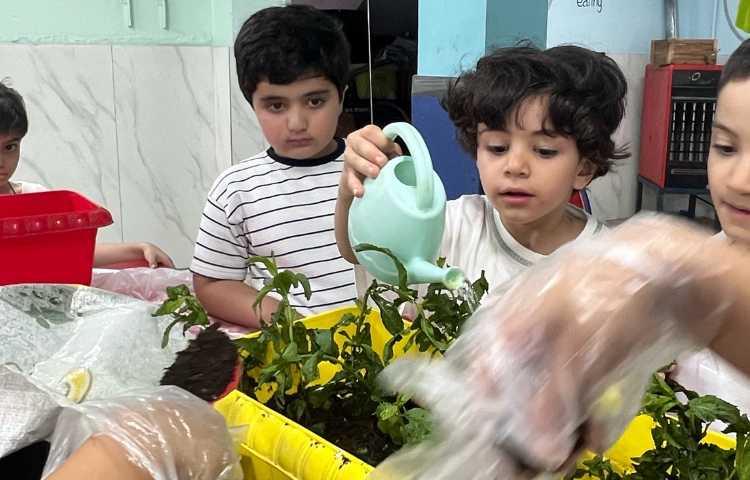 با طبیعت کاشت سبزی