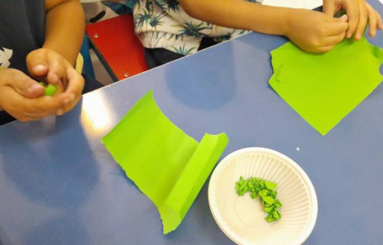 با طبیعت کره ی زمین 1