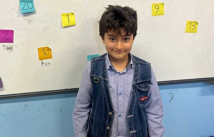 بخش اعداد از ODI