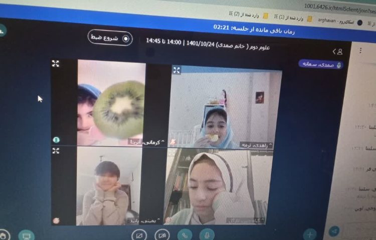 بررسی انواع دانه 1