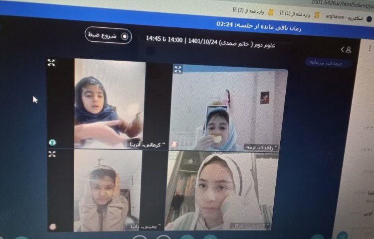 بررسی انواع دانه 2