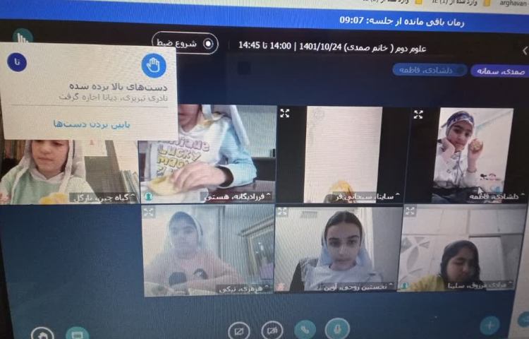 بررسی انواع دانه 3