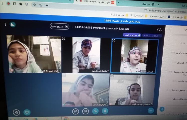 بررسی انواع دانه 4