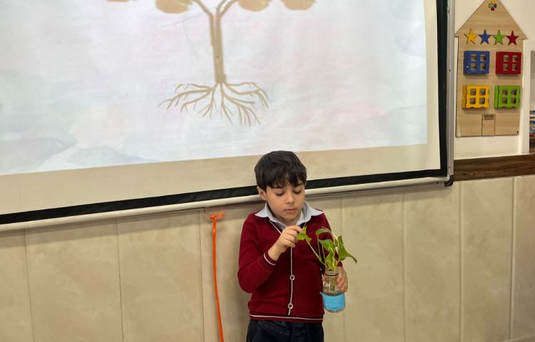 بررسی بخش‌های محتلف یک گیاه-زنگ Science 1