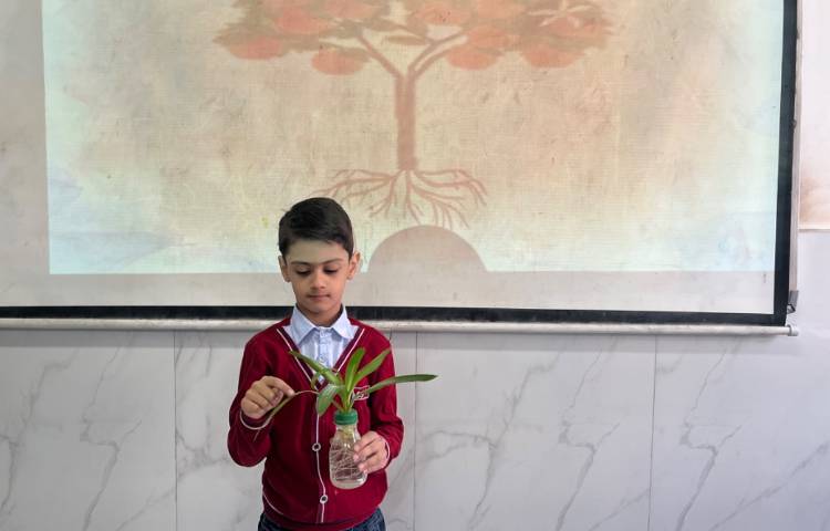 بررسی بخش‌های محتلف یک گیاه-زنگ Science 1