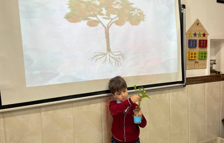 بررسی بخش‌های محتلف یک گیاه-زنگ Science 3